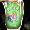 Leśne Dzbany