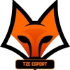 TZE ESPORT
