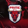 Prime Bulls