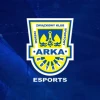 Arka Gdynia Esports