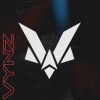 The Vynz