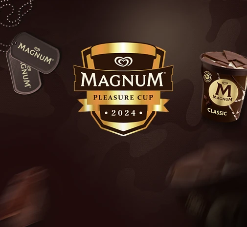 Tournament CS2 Pleasure Cup - Finały