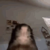 saiyan666